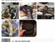 这顿年夜饭惹怒全国网友 国家林业局连夜调查！