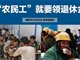 农民是否应该领退休金?专家回应